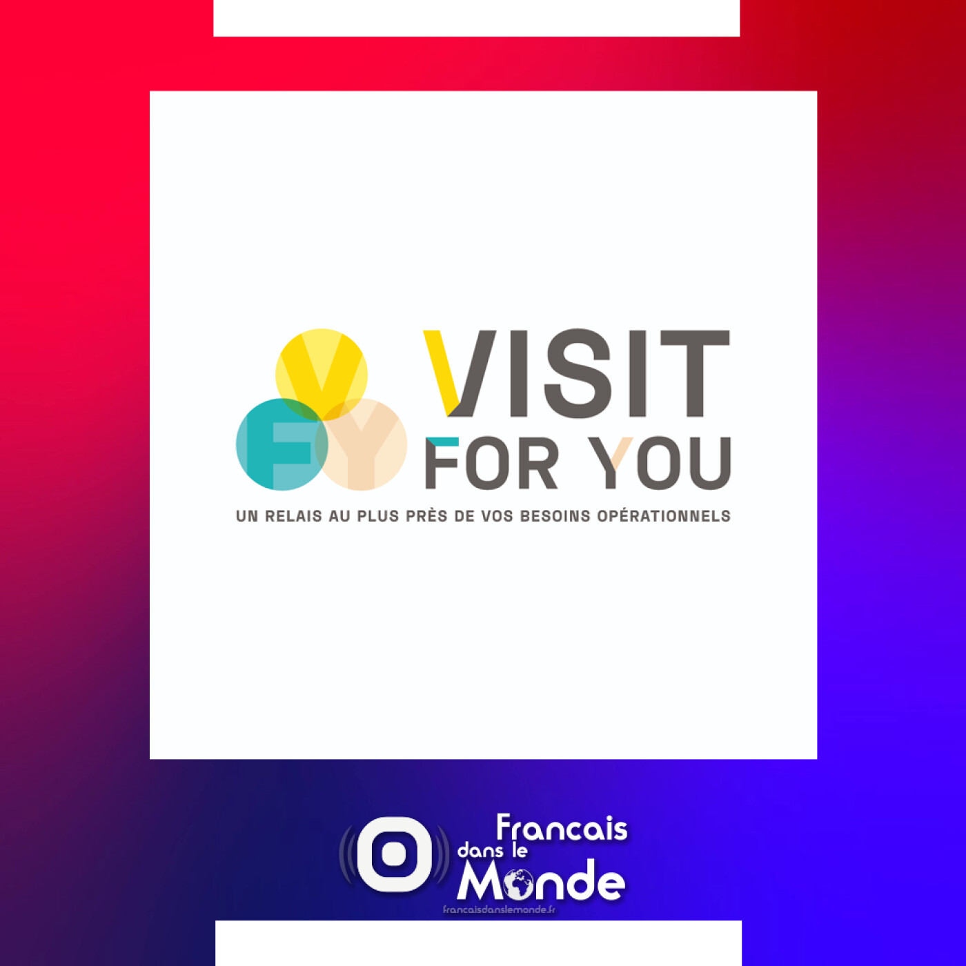 VISIT FOR YOU : Un réseau de Français expatriés, au plus près des besoins opérationnels des Entreprises à l’international