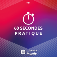 60 secondes PRATIQUE : des experts de la mobilité internationale répondent à vios questions.